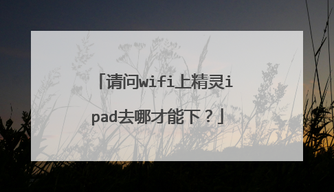 请问wifi上精灵ipad去哪才能下？