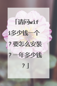 请问wifi多少钱一个？要怎么安装？一年多少钱？