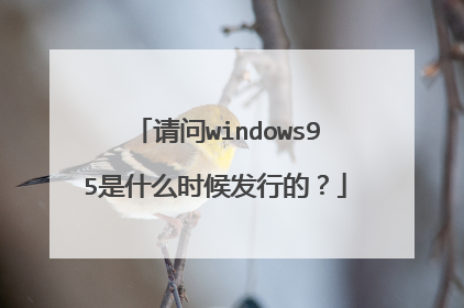 请问windows95是什么时候发行的？