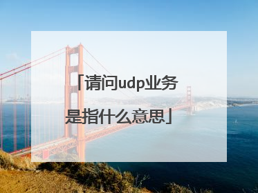 请问udp业务是指什么意思