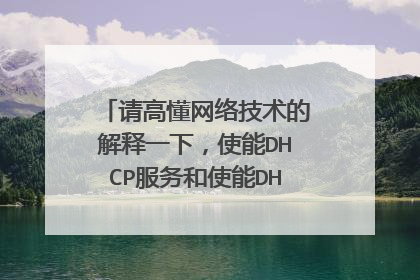 请高懂网络技术的解释一下，使能DHCP服务和使能DHCP透传概念。