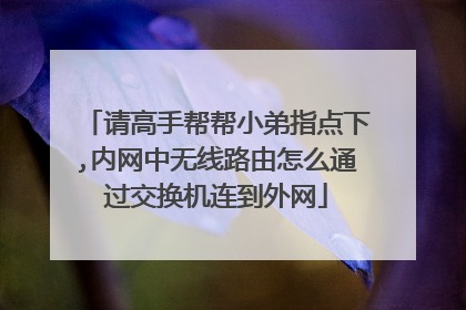 请高手帮帮小弟指点下,内网中无线路由怎么通过交换机连到外网