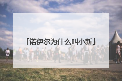 诺伊尔为什么叫小新