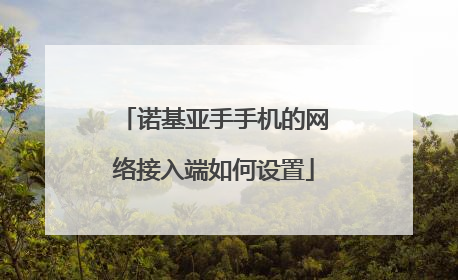 诺基亚手手机的网络接入端如何设置
