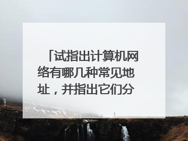 试指出计算机网络有哪几种常见地址，并指出它们分别对应那一层