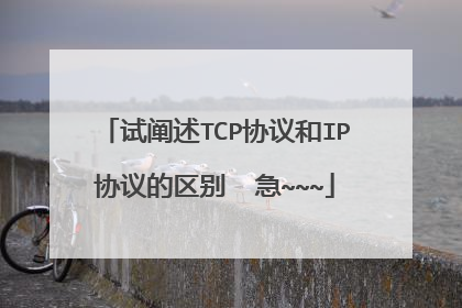 试阐述TCP协议和IP协议的区别  急~~~