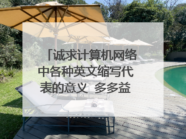 诚求计算机网络中各种英文缩写代表的意义 多多益善 或是其相关词典的下载地址