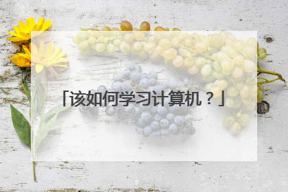 该如何学习计算机?