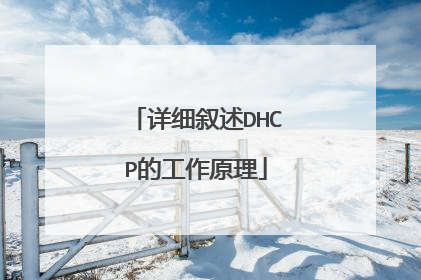详细叙述DHCP的工作原理