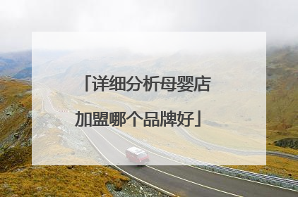 详细分析母婴店加盟哪个品牌好