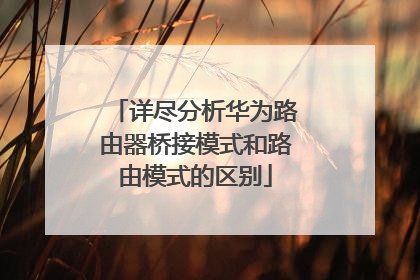 详尽分析华为路由器桥接模式和路由模式的区别