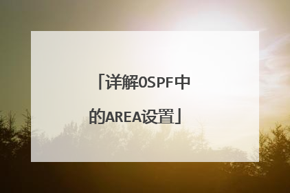 详解OSPF中的AREA设置