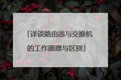 详谈路由器与交换机的工作原理与区别