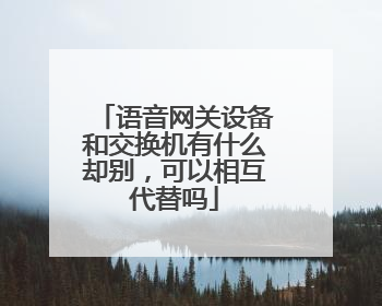 语音网关设备和交换机有什么却别,可以相互代替吗