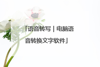 语音转写|电脑语音转换文字软件