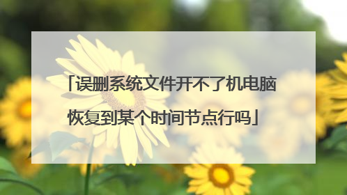 误删系统文件开不了机电脑恢复到某个时间节点行吗