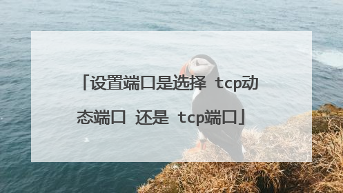 设置端口是选择 tcp动态端口 还是 tcp端口