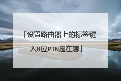 设置路由器上的标签键入8位PIN是在哪