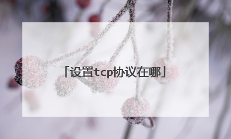 设置tcp协议在哪