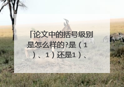 论文中的括号级别是怎么样的?是（1）、1）还是1）、（1），就是应该是双括号在前还是单括号在前呢？