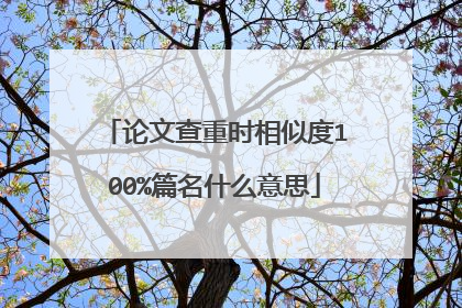 论文查重时相似度100%篇名什么意思