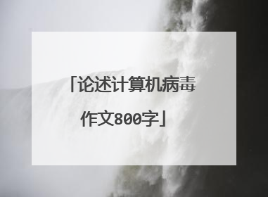 论述计算机病毒作文800字