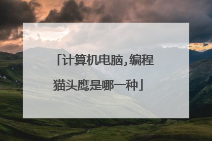 计算机电脑,编程猫头鹰是哪一种