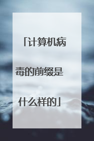 计算机病毒的前缀是什么样的