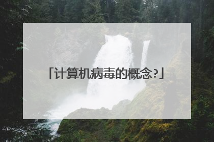 计算机病毒的概念?