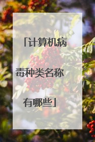 计算机病毒种类名称有哪些