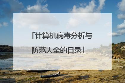 计算机病毒分析与防范大全的目录