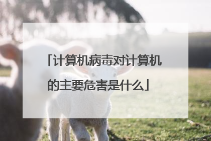 计算机病毒对计算机的主要危害是什么