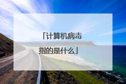 计算机病毒指的是什么