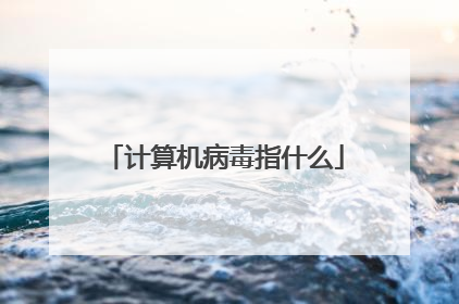 计算机病毒指什么