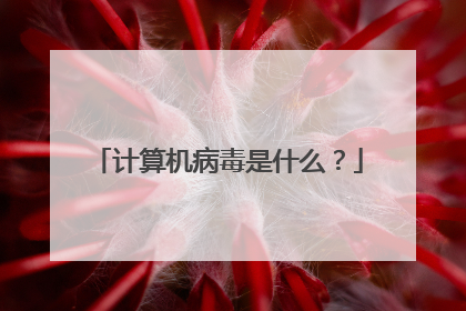 计算机病毒是什么?