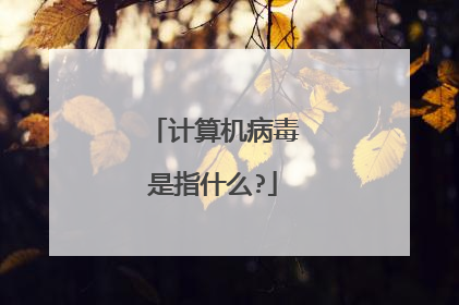 计算机病毒是指什么?