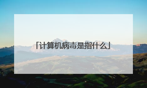 计算机病毒是指什么