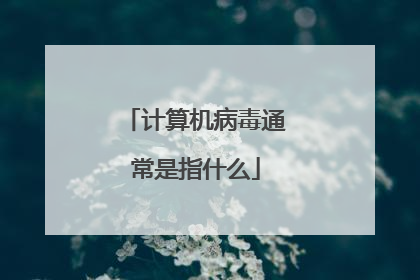 计算机病毒通常是指什么