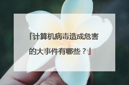 计算机病毒造成危害的大事件有哪些?