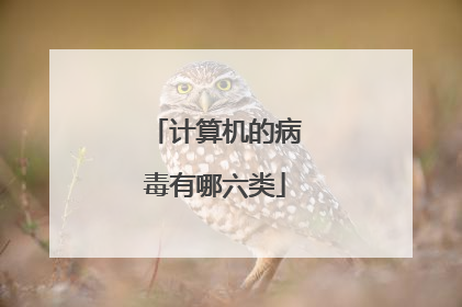 计算机的病毒有哪六类