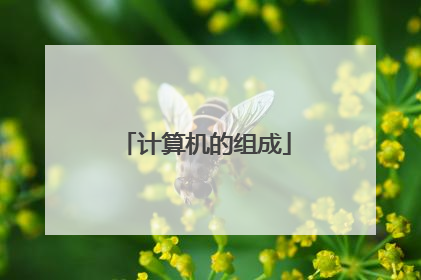 计算机的组成