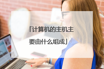 计算机的主机主要由什么组成