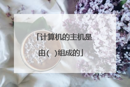 计算机的主机是由( )组成的