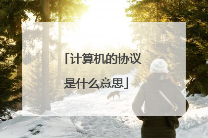 计算机的协议是什么意思