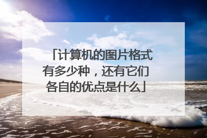 计算机的图片格式有多少种,还有它们各自的优点是什么