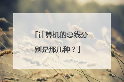 计算机的总线分别是那几种?