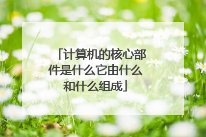 计算机的核心部件是什么它由什么和什么组成