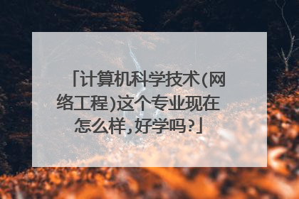 计算机科学技术(网络工程)这个专业现在怎么样,好学吗?
