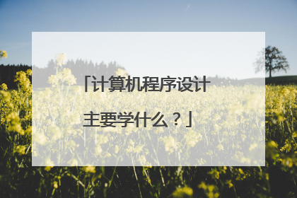 计算机程序设计主要学什么?