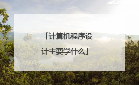 计算机程序设计主要学什么